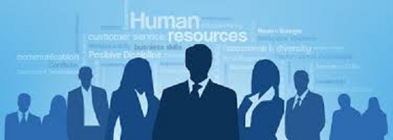 Outsourcing HR? How it results in big savings for your business?